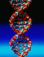 The Secret of Life -- Discovery of the DNA Structure
