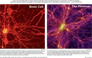 As Above, So Below : The Neuron and The Galaxy